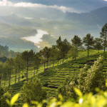 Kerala Tour Packages