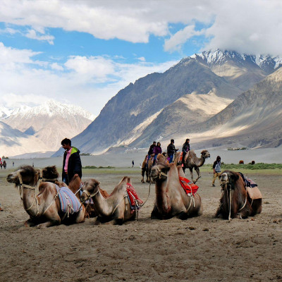 Ladakh Tour Packages